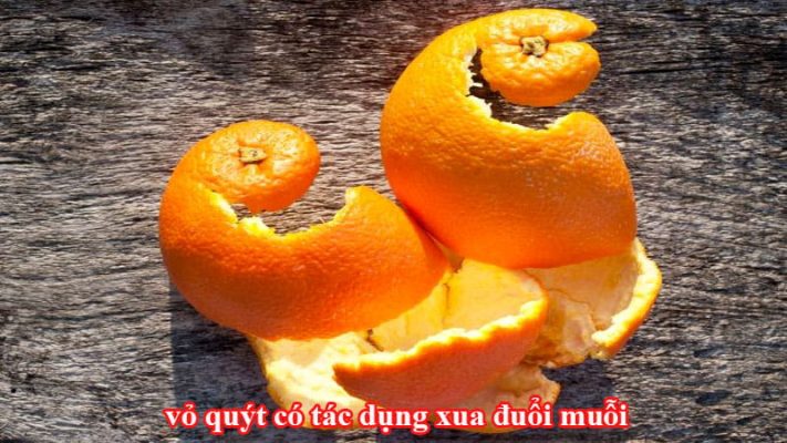 dùng vỏ quýt để đuổi muỗi